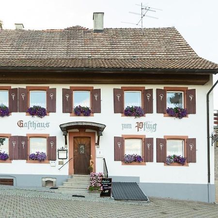 Hotel Landgasthof Zum Pflug Kleines Wiesental Esterno foto