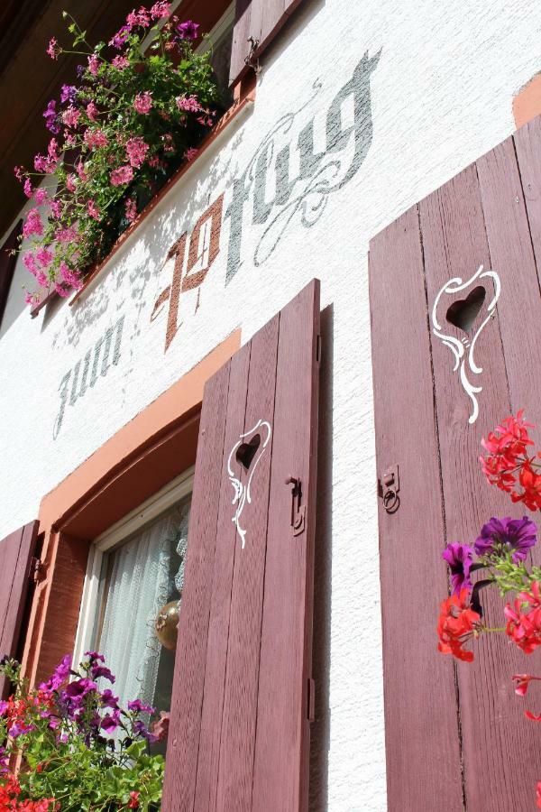 Hotel Landgasthof Zum Pflug Kleines Wiesental Esterno foto