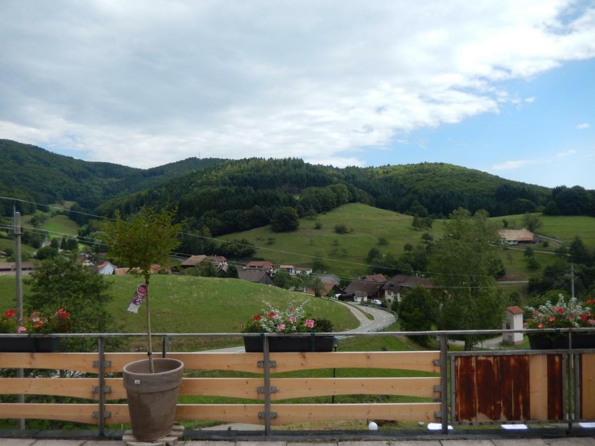 Hotel Landgasthof Zum Pflug Kleines Wiesental Esterno foto